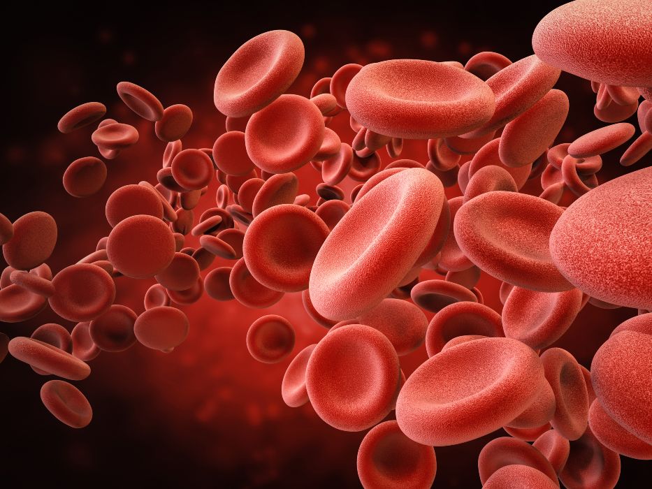 3D illustration of red blood cells.